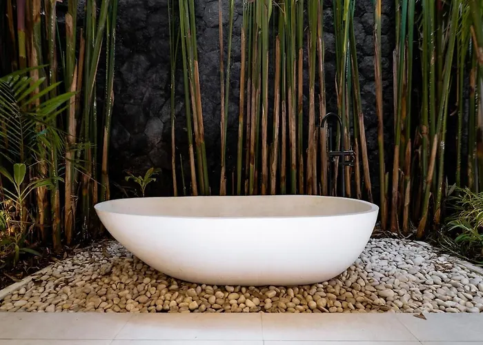 Casa Petak 8 - Tropical Haven Stylish 3br With Pool In Pererenan * チャングー